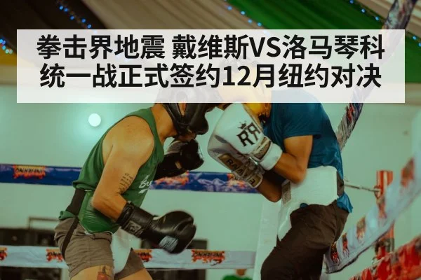 拳击界地震 戴维斯VS洛马琴科统一战正式签约12月纽约对决